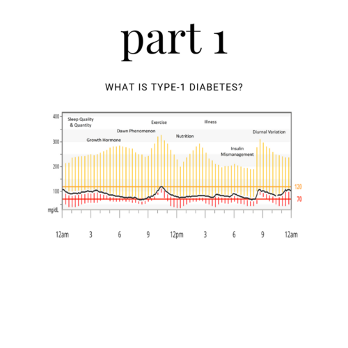 Andrew P. Koutnik – Part 1: What is Type-1 Diabetes?